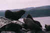27778_31.jpg (24538 bytes)