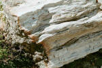 Petrified log