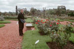 Rose garden