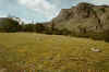 87975_01.jpg (57376 bytes)