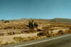 87963_13.jpg (39501 bytes)