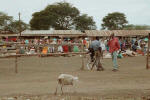 Mali Tatu market