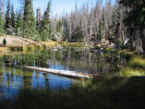 Alpine Pond