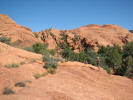 Petrified Dunes